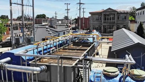 守护绿色家园——建设工程施工的生态实践