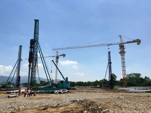 肇庆水产交易中心试运营，开启新鲜水产采购新篇章